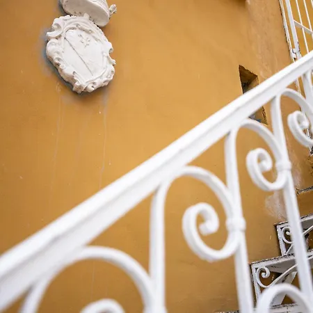 Leone D'autore - Rooftop Centro Storico Guest house